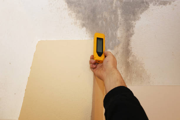 Best Mold Removal for HVAC Installations  in Progress, PA